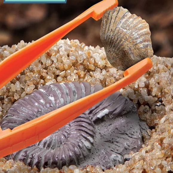 Ryan's World Toy Surprise Unboxing Dino Playset, Fossil Excavation Set with Dino - Picture 9 of 11